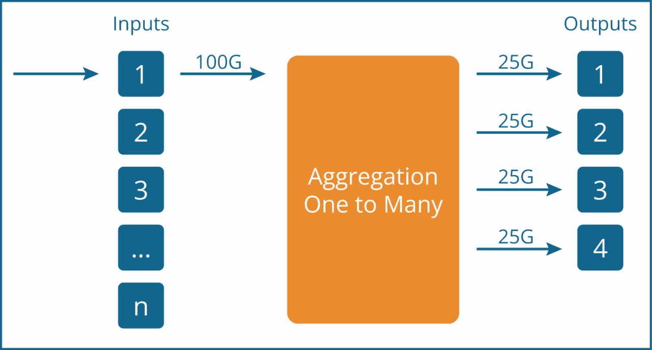 technical graphic of Cubro showing Aggregation Input and Output - One to Many