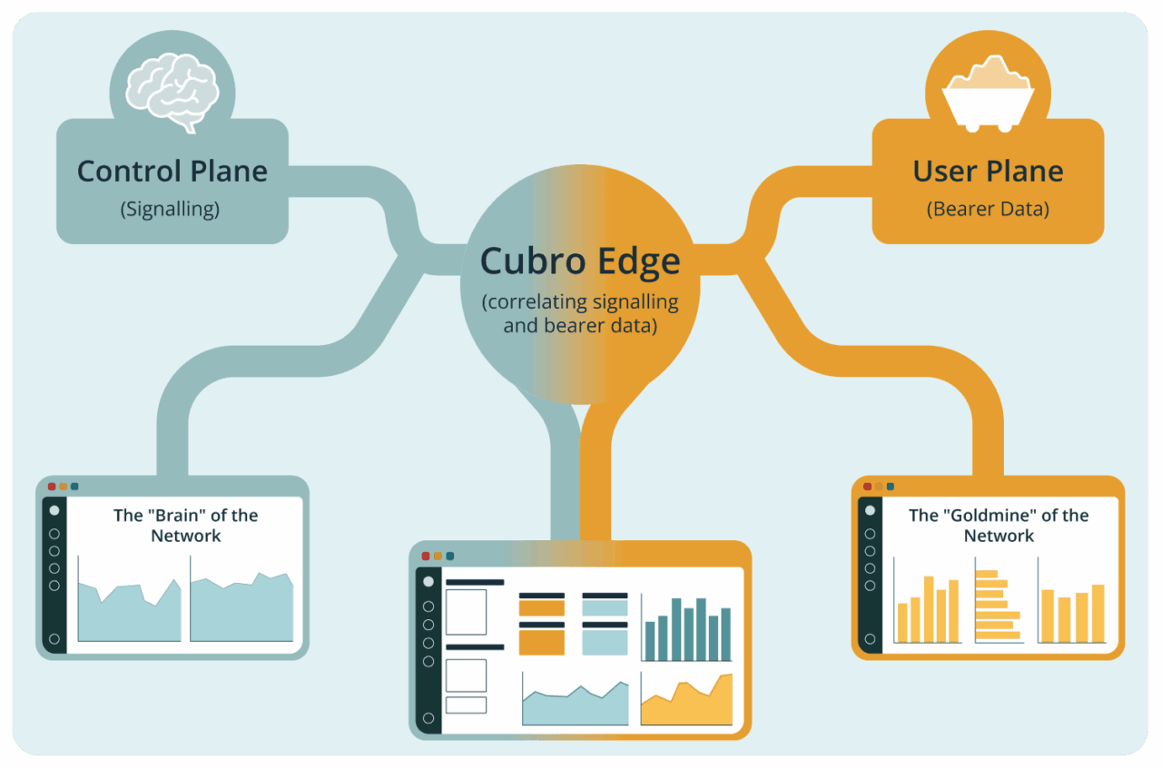 Graphic of complete network visibiliy of Cubro Network Visibility