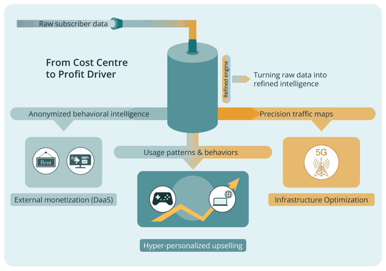 Graphic of monetizing your network of Cubro Network Visibility
