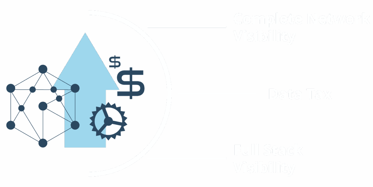 headergraphic for the page "Network Monetization" of Cubro Network Visibility