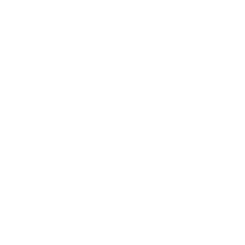 Cubro Network Visibility icon of Blind Spots
