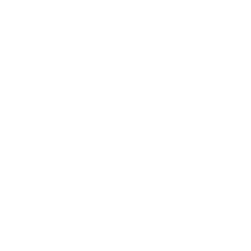Cubro Network Visibility icon of Executive liability