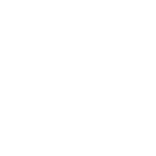 Cubro Network Visibility icon of forensic evidence