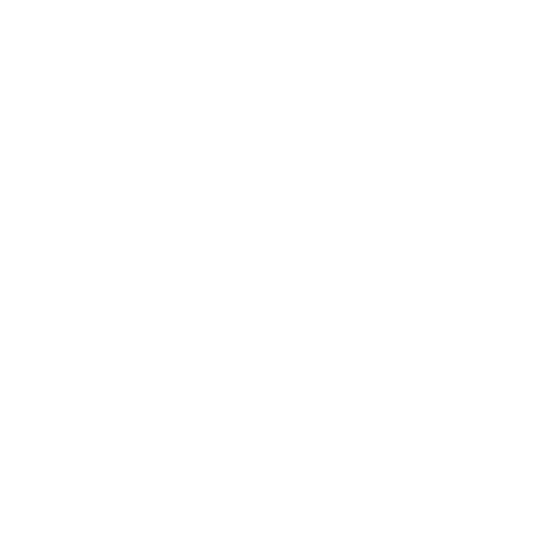 Cubro Network Visibility icon of resilience