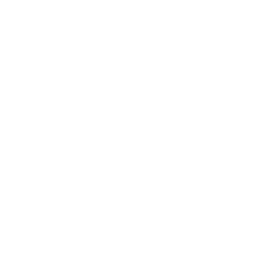 Cubro Network Visibility icon of sovereignty
