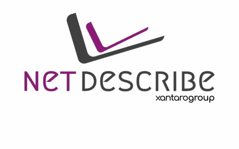 Logo NetDescribe - Partner of Cubro Network Visibility