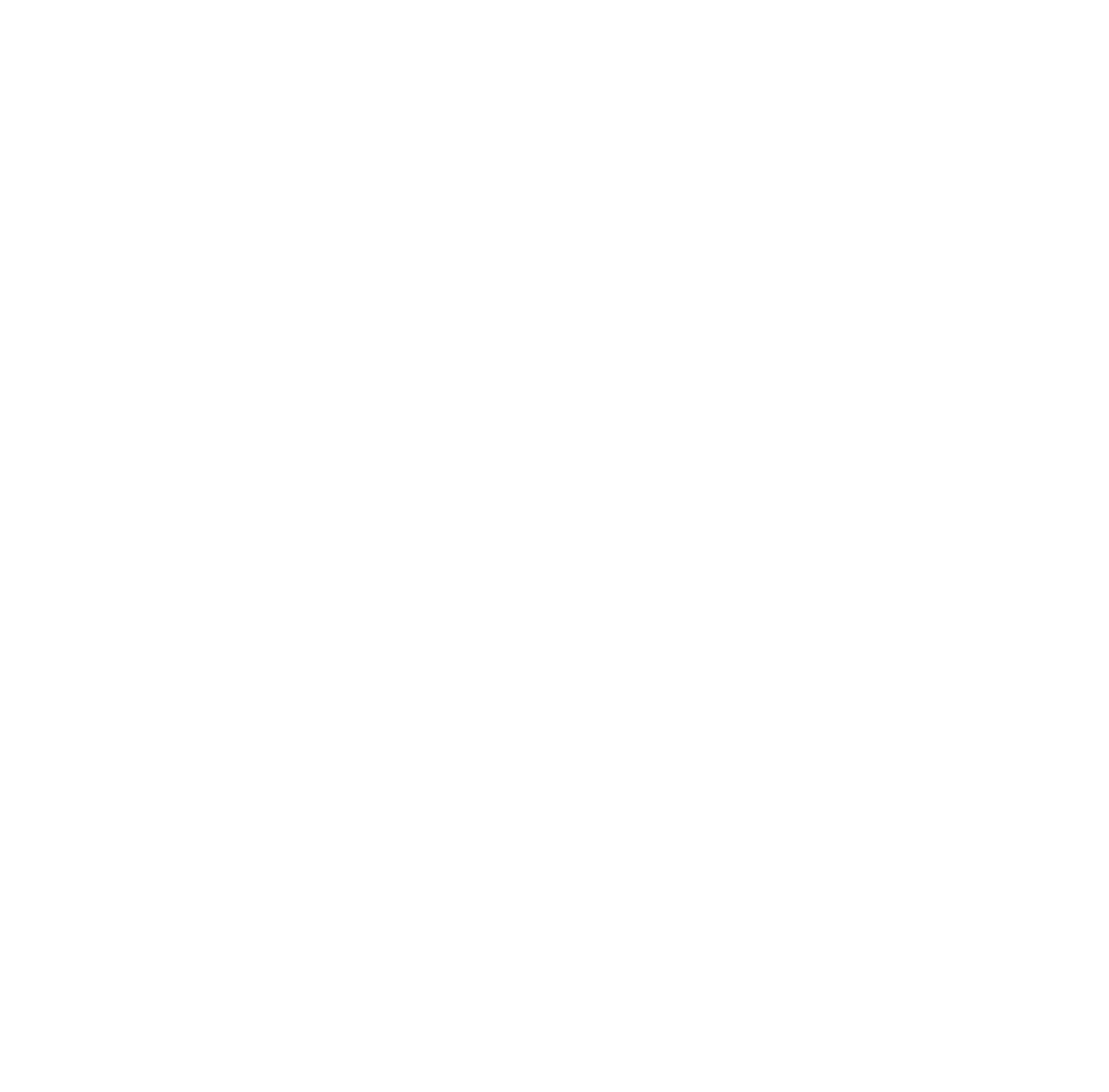 icon implementation services