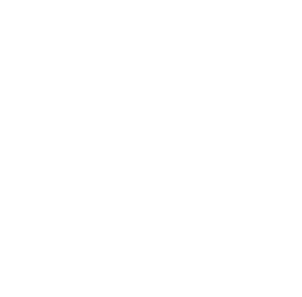 icon integration services