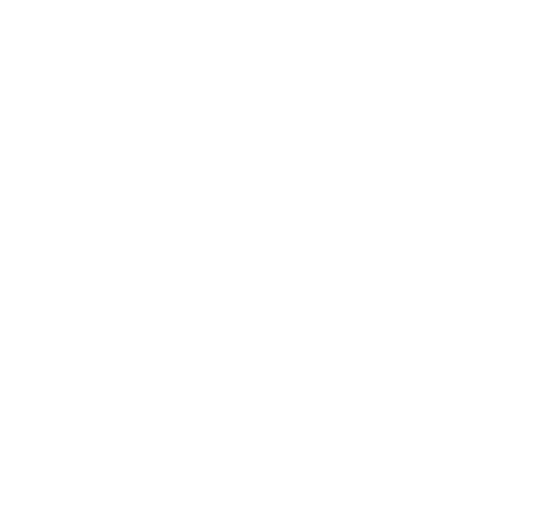 icon training services